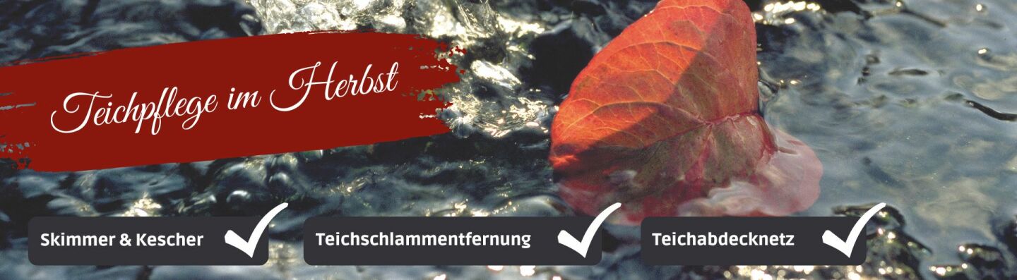 Teichpflege im Herbst